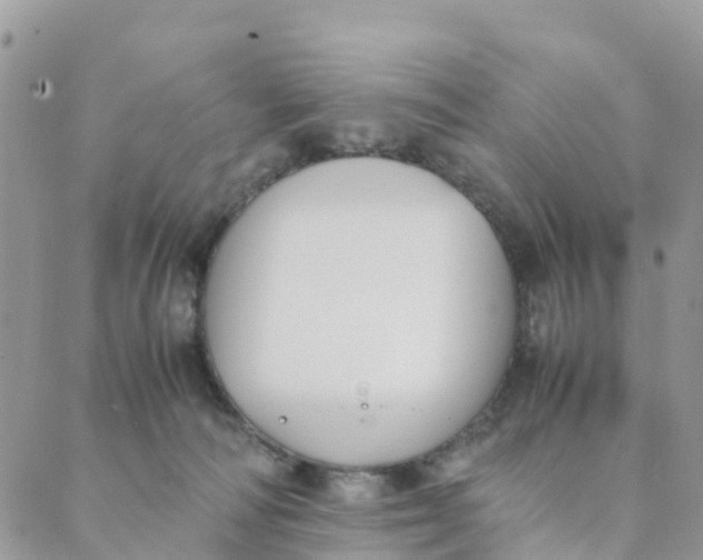 X0000089360226200707061057