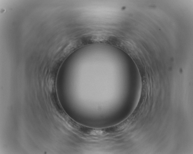 X0000089360227200707061057