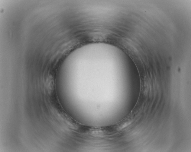 X0000089360228200707061057