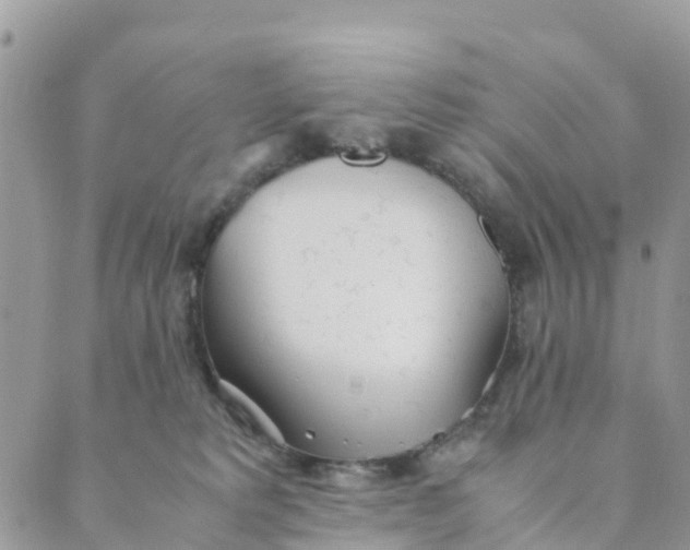 X0000089360229200707061057