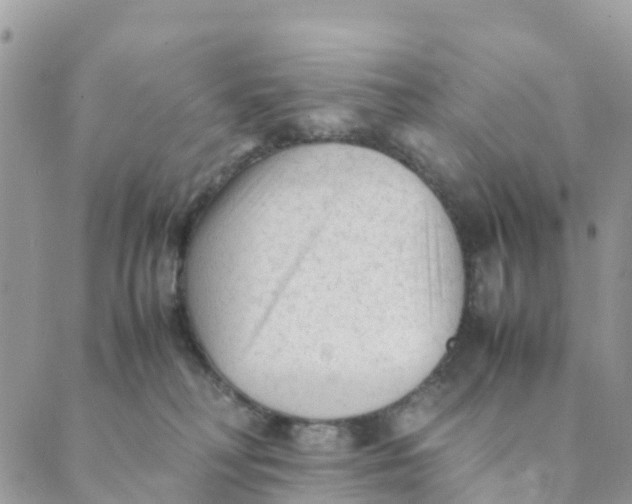 X0000089360230200707061057