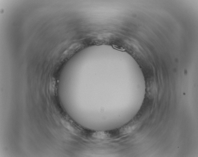 X0000089360231200707061057