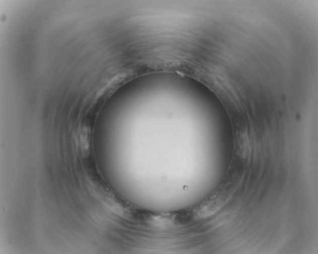 X0000089360232200707061057