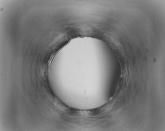 X0000089360233200707061057