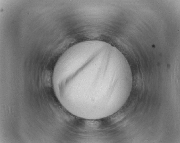 X0000089360234200707061057