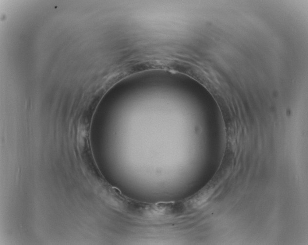 X0000089360235200707061057