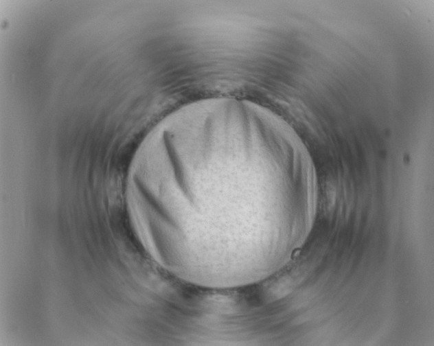 X0000089360236200707061057