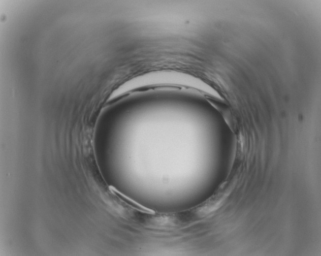 X0000089360237200707061057