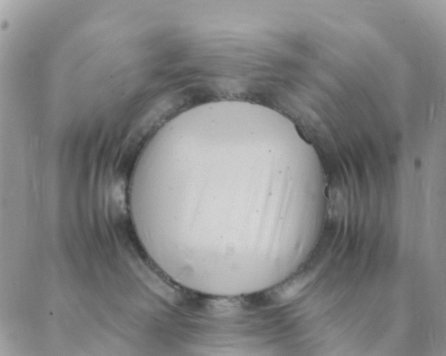 X0000089360238200707061057