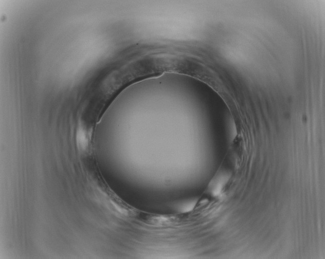 X0000089360239200707061057