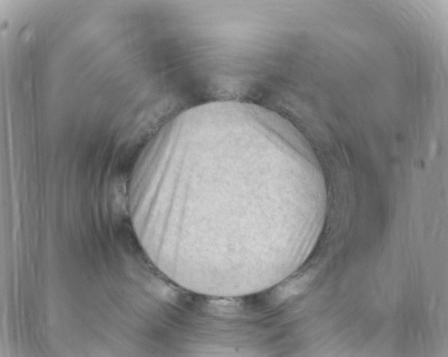 X0000089360240200707061057