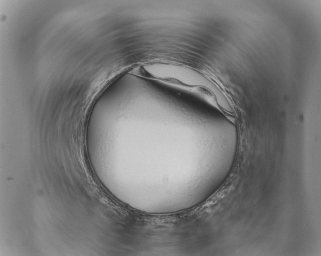 X0000089360241200707061056