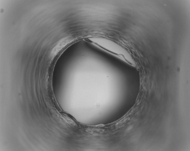 X0000089360242200707061056