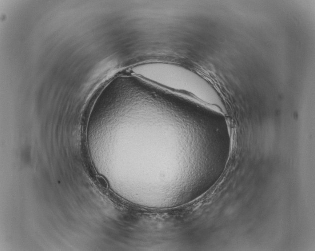 X0000089360243200707061056