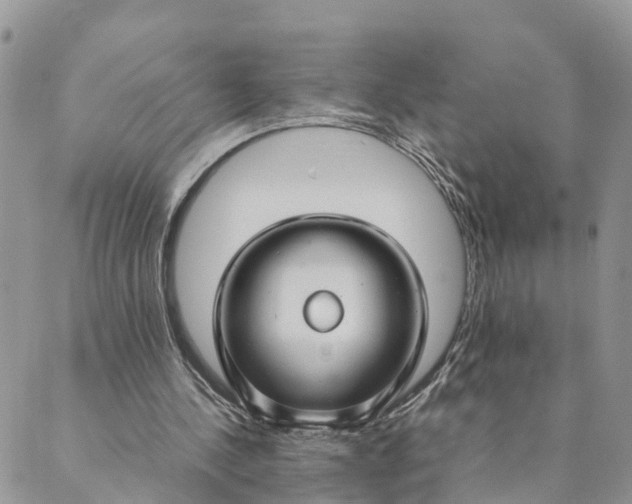 X0000089360244200707061056