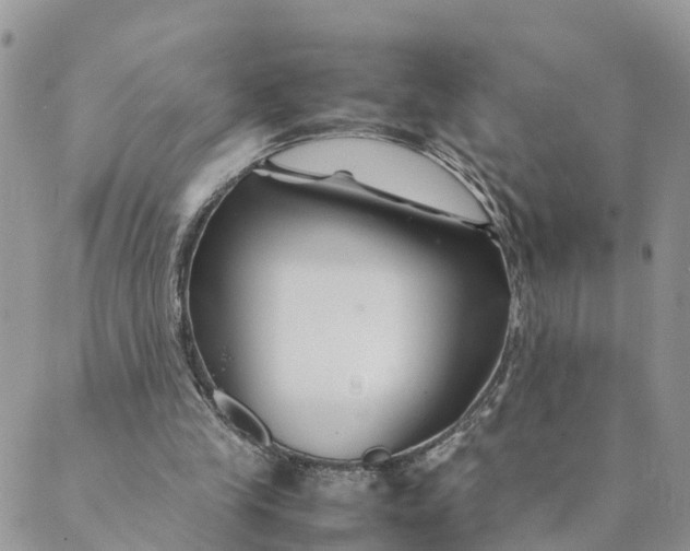 X0000089360245200707061056