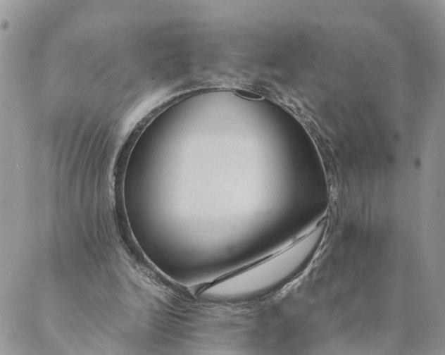 X0000089360246200707061056