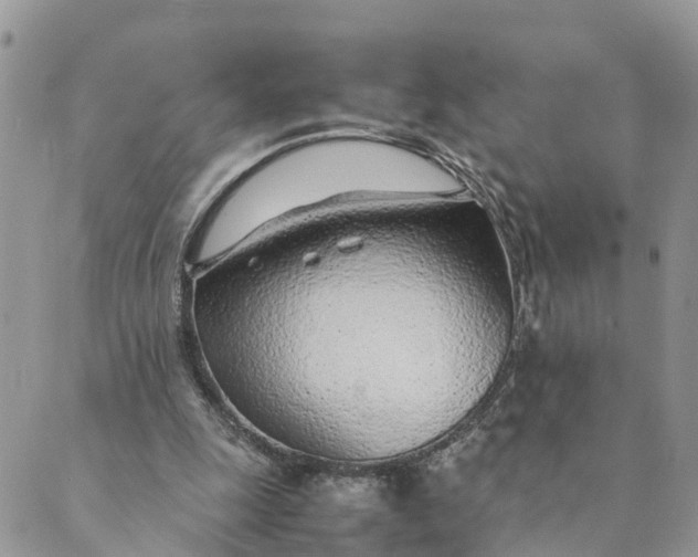 X0000089360247200707061056