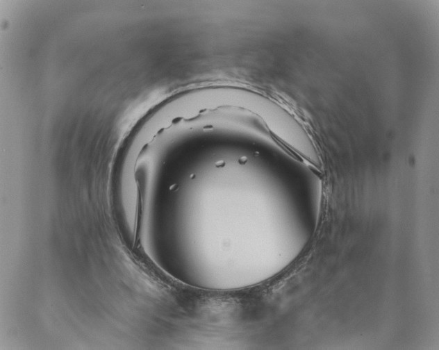 X0000089360248200707061056