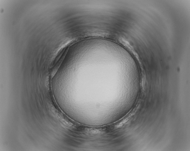 X0000089360249200707061056