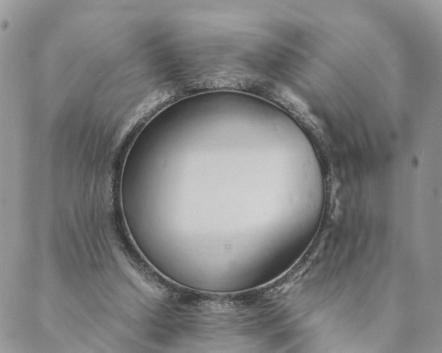 X0000089360250200707061056