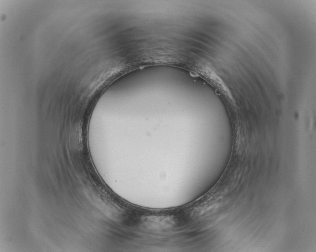 X0000089360251200707061056