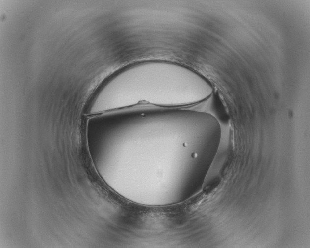 X0000089360252200707061056