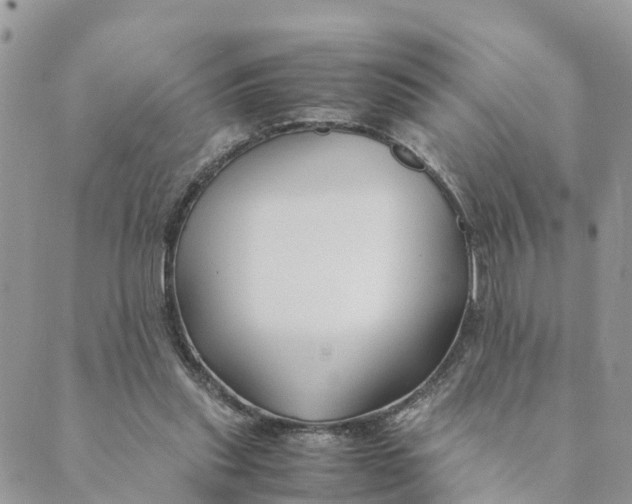 X0000089360253200707061056