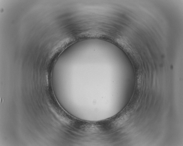 X0000089360254200707061056