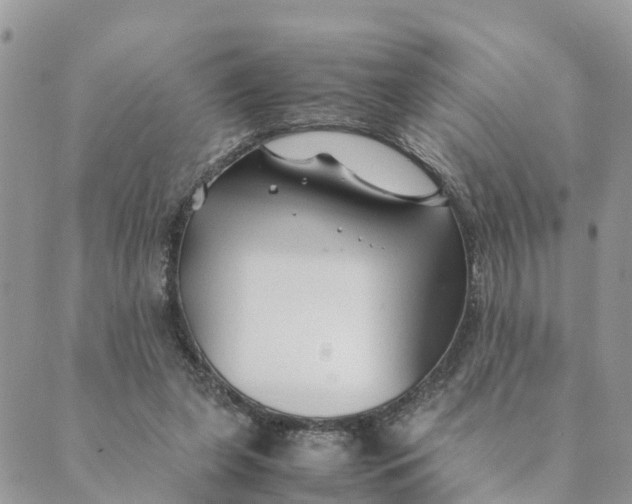 X0000089360255200707061056