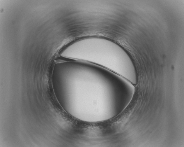 X0000089360256200707061056