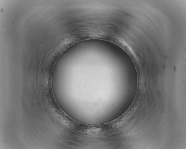 X0000089360257200707061056