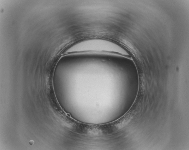 X0000089360258200707061056