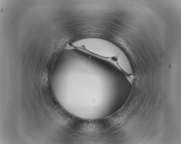 X0000089360259200707061056