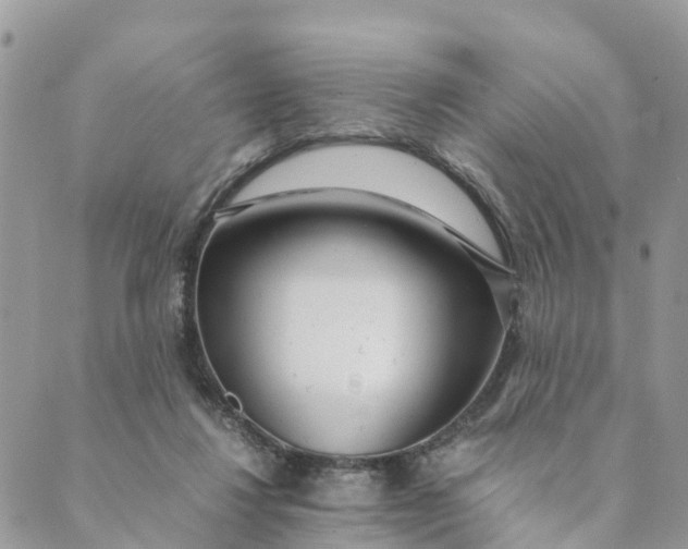 X0000089360260200707061056