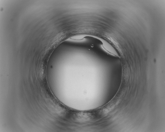 X0000089360261200707061056