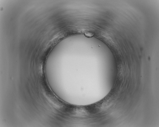 X0000089360262200707061056