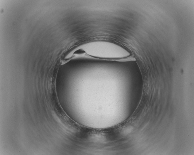 X0000089360263200707061056