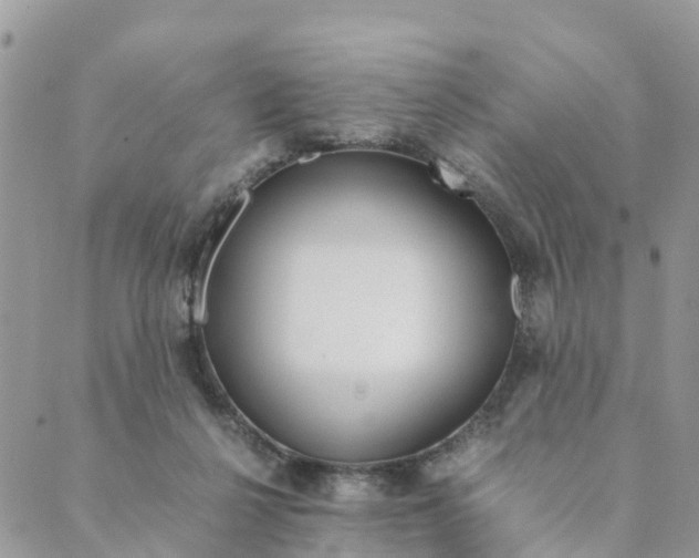 X0000089360264200707061057