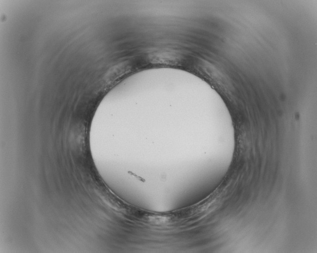 X0000089360265200707061057