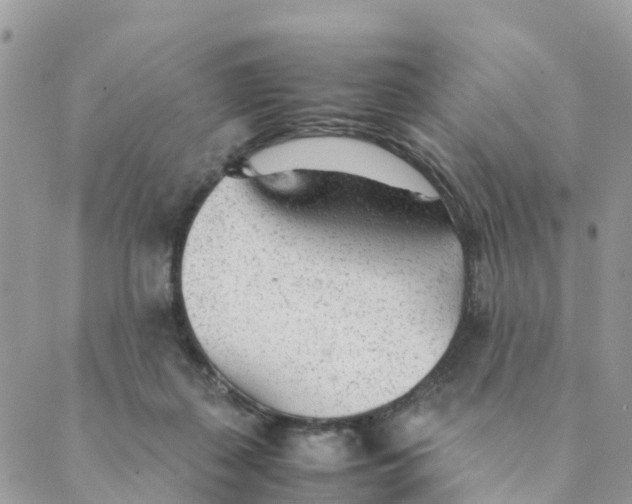 X0000089360267200707061057