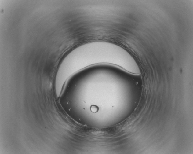 X0000089360268200707061057