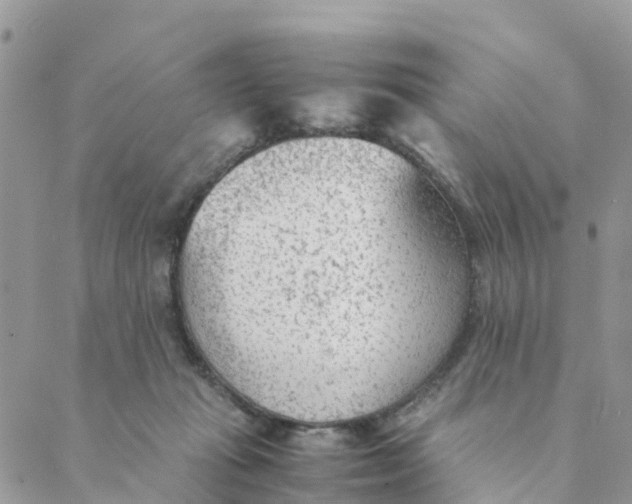 X0000089360269200707061057