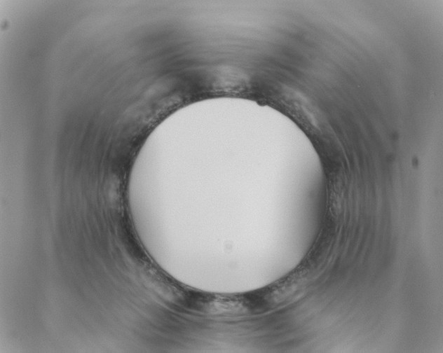 X0000089360270200707061057