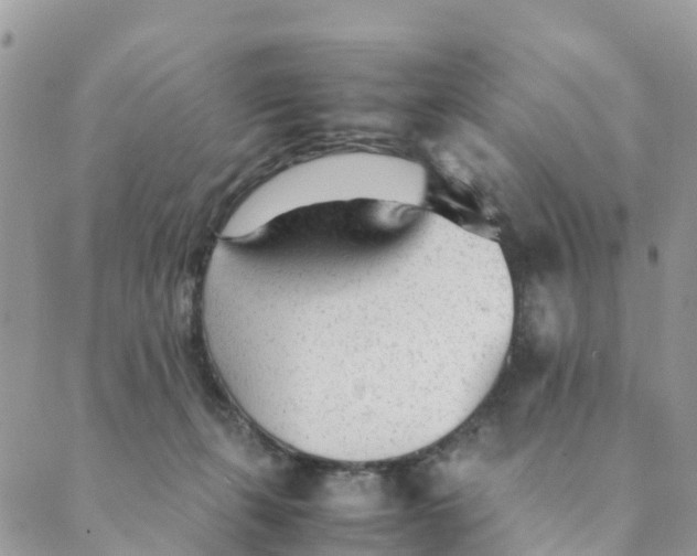 X0000089360271200707061057