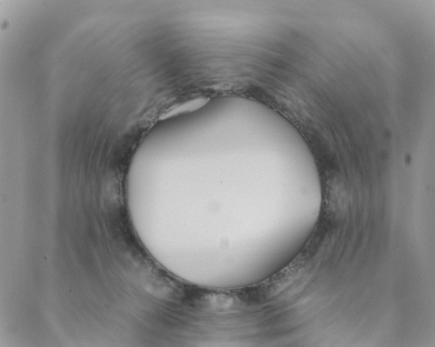 X0000089360272200707061057