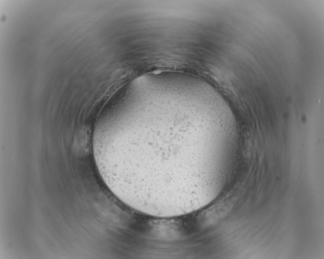 X0000089360273200707061057