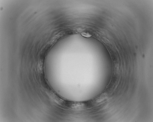 X0000089360274200707061057