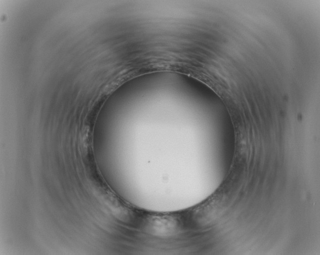 X0000089360275200707061057