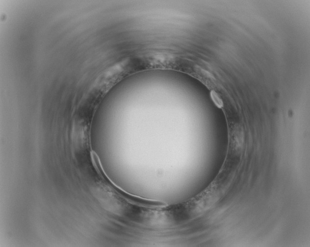 X0000089360276200707061057